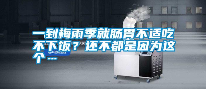 一到梅雨季就腸胃不適吃不下飯？還不都是因為這個…