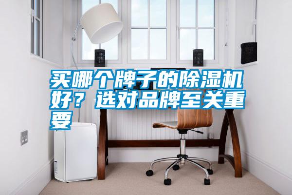 買哪個牌子的除濕機好？選對品牌至關重要