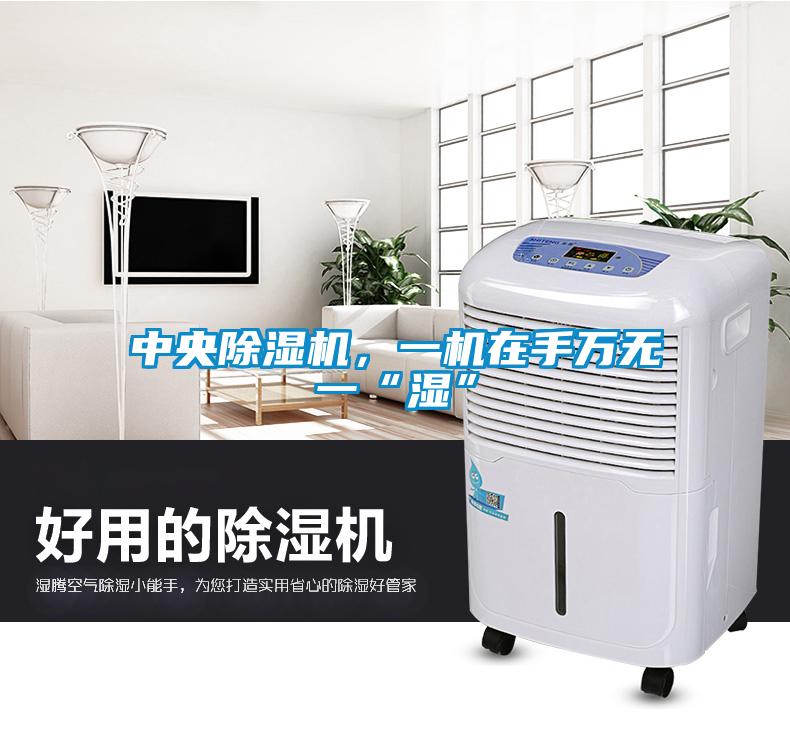 中央除濕機，一機在手萬無一“濕”