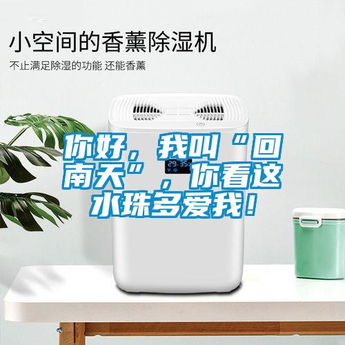你好，我叫“回南天”，你看這水珠多愛我！