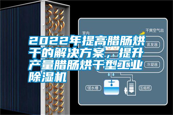 2022年提高臘腸烘干的解決方案，提升產量臘腸烘干型工業除濕機