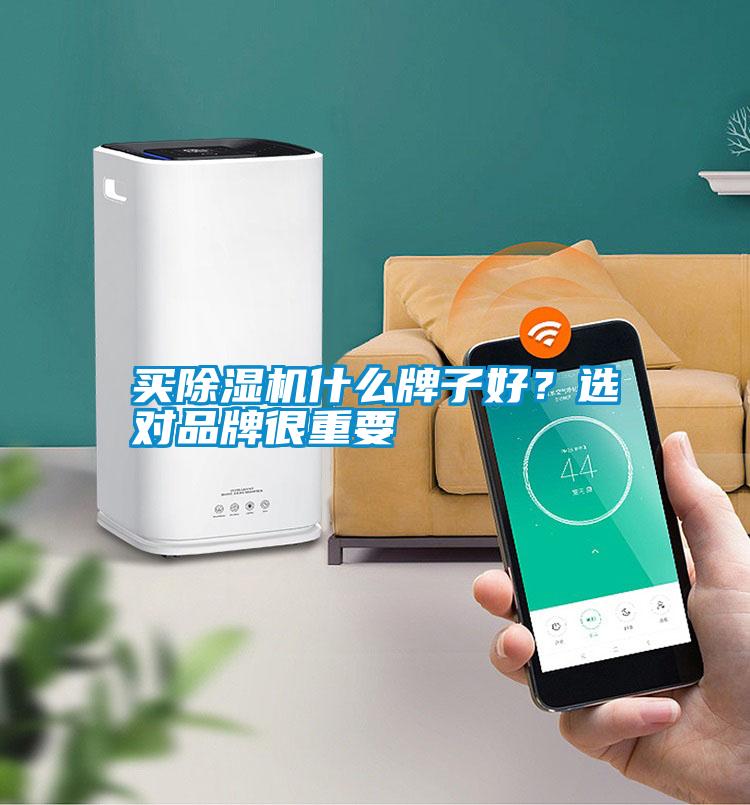 買除濕機什么牌子好？選對品牌很重要