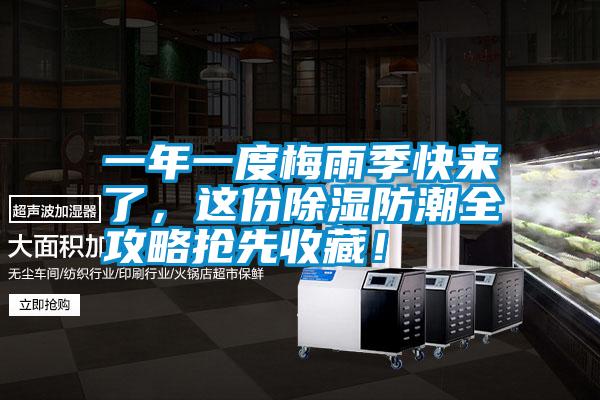 一年一度梅雨季快來了，這份除濕防潮全攻略搶先收藏！