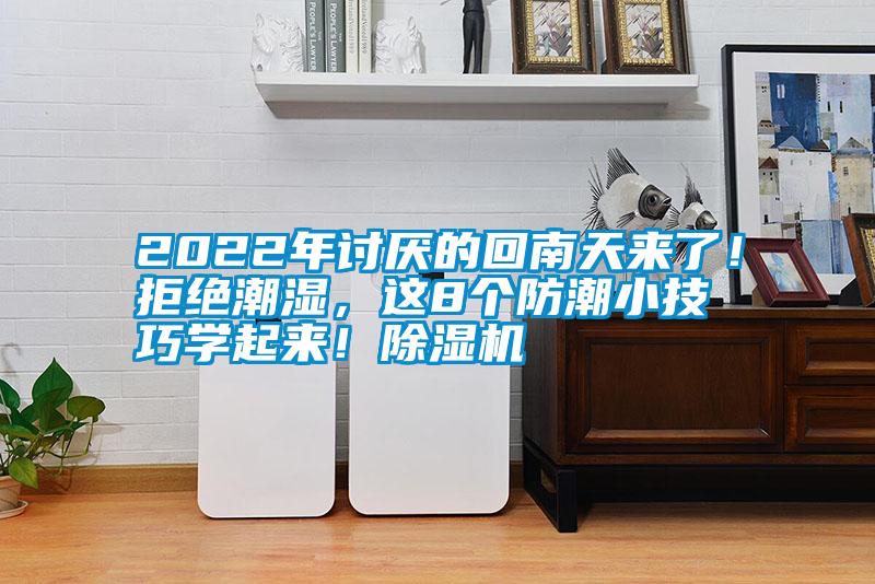 2022年討厭的回南天來了！拒絕潮濕，這8個防潮小技巧學起來！除濕機