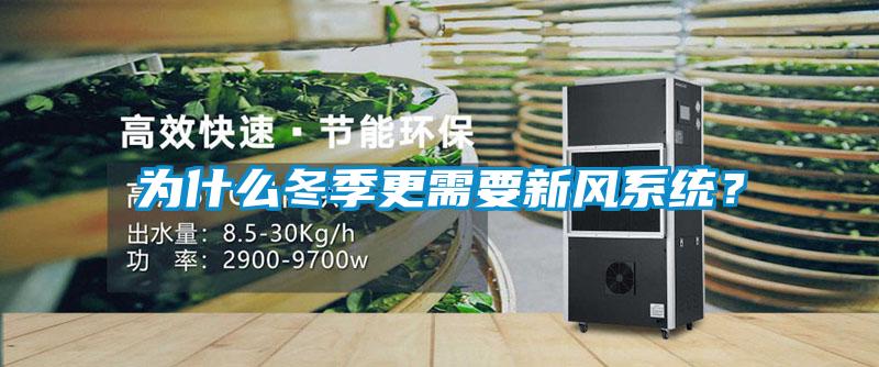為什么冬季更需要新風系統？