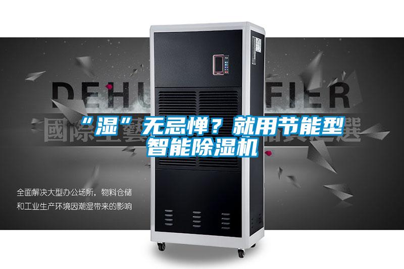 “濕”無忌憚？就用節能型智能除濕機