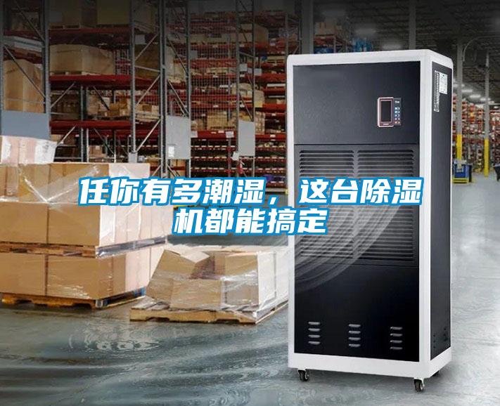 任你有多潮濕，這臺除濕機都能搞定