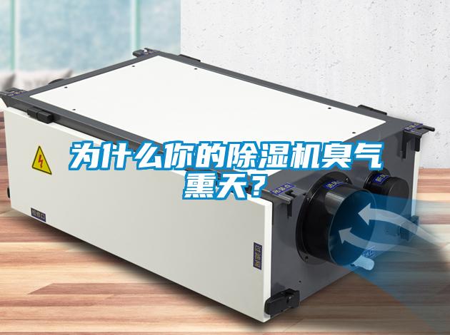 為什么你的除濕機臭氣熏天？