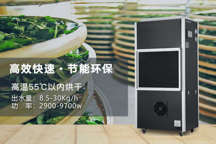 潮濕天氣來襲，螨蟲爆滿床！