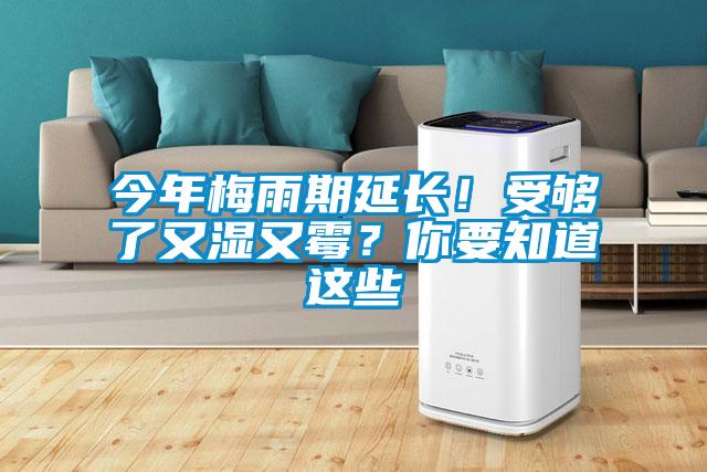 今年梅雨期延長！受夠了又濕又霉？你要知道這些