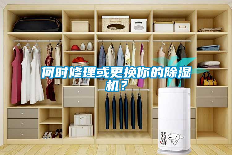 何時修理或更換你的除濕機？