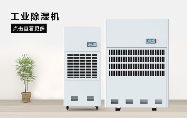 三八節送媽媽的禮物，選這款安詩曼除濕器就對了