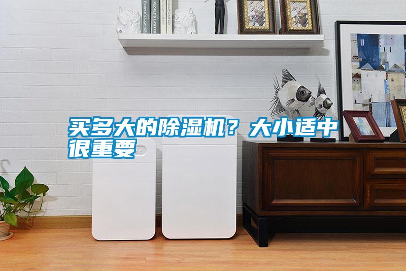 買多大的除濕機？大小適中很重要