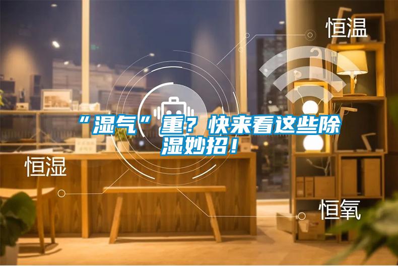 “濕氣”重？快來看這些除濕妙招！