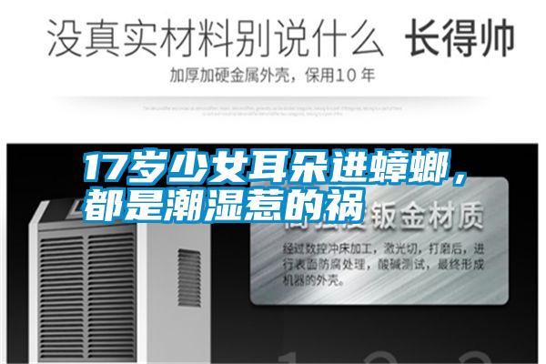 17歲少女耳朵進蟑螂，都是潮濕惹的禍