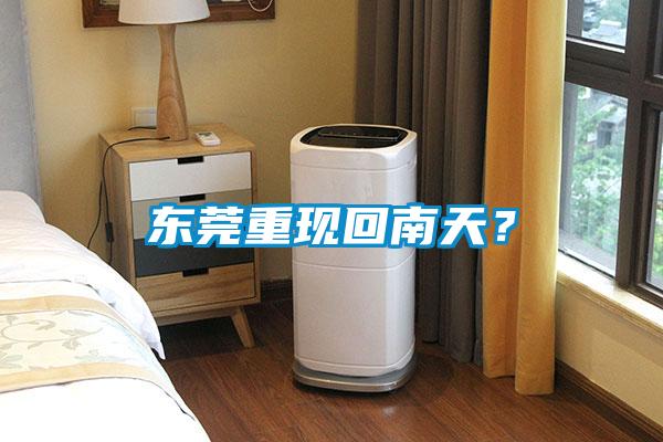 東莞重現回南天？
