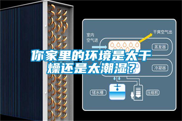 你家里的環境是太干燥還是太潮濕？