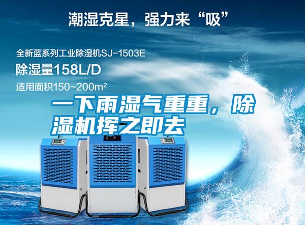 一下雨濕氣重重，除濕機揮之即去