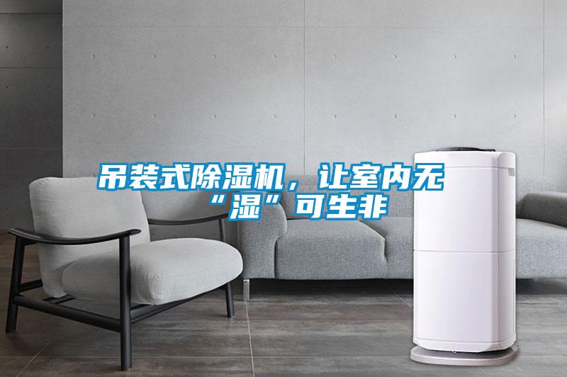 吊裝式除濕機，讓室內無“濕”可生非