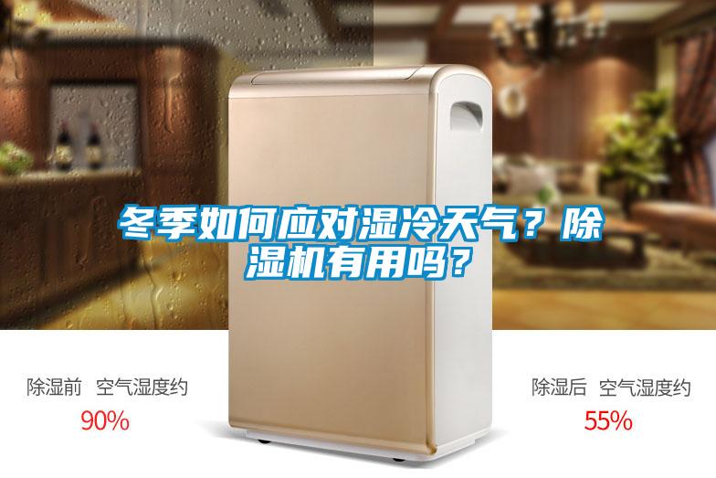 冬季如何應對濕冷天氣？除濕機有用嗎？