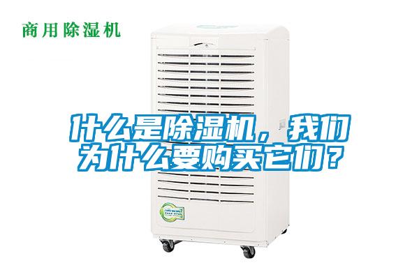 什么是除濕機，我們為什么要購買它們？