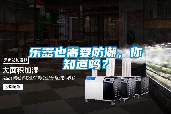 樂器也需要防潮，你知道嗎？