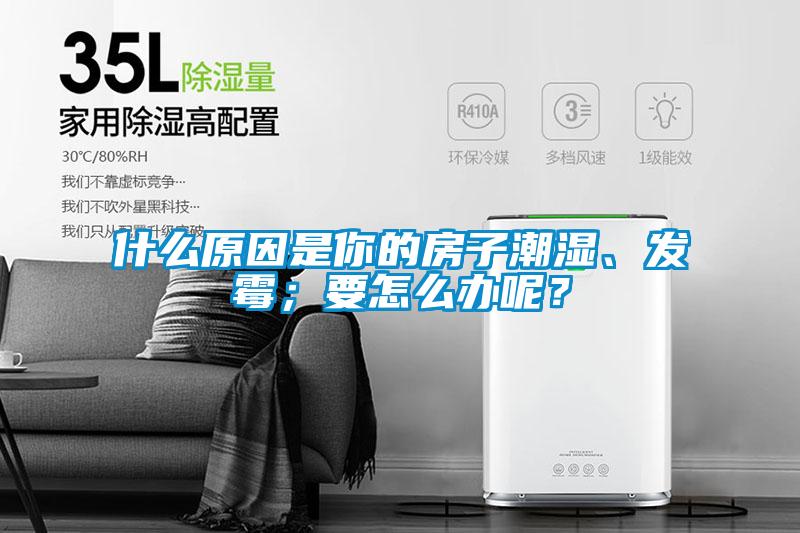 什么原因是你的房子潮濕、發霉；要怎么辦呢？