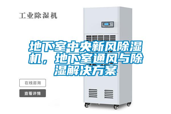 地下室中央新風除濕機，地下室通風與除濕解決方案