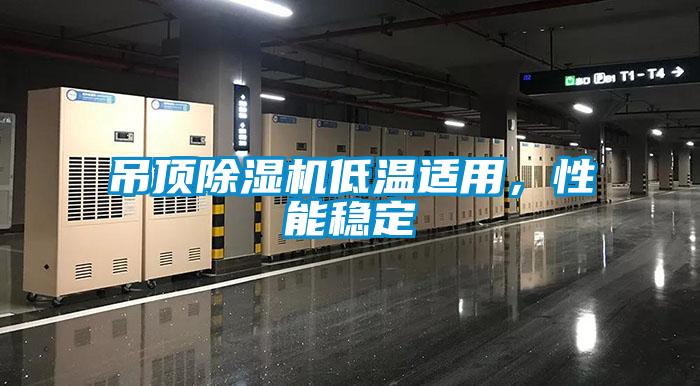 吊頂除濕機低溫適用，性能穩定