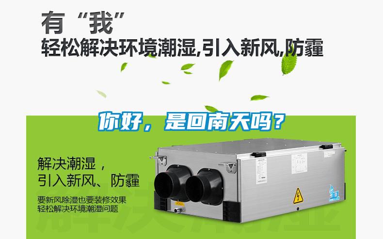你好，是回南天嗎？