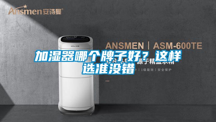 加濕器哪個牌子好？這樣選準沒錯