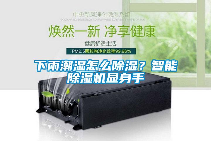 下雨潮濕怎么除濕？智能除濕機顯身手