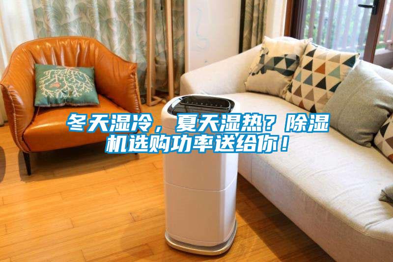 冬天濕冷，夏天濕熱？除濕機選購功率送給你！