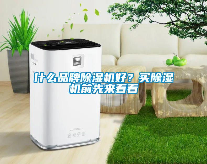 什么品牌除濕機好？買除濕機前先來看看