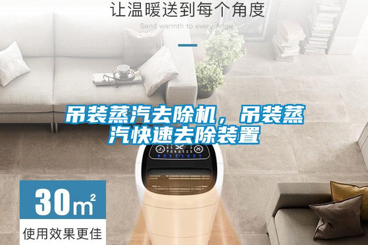 吊裝蒸汽去除機，吊裝蒸汽快速去除裝置