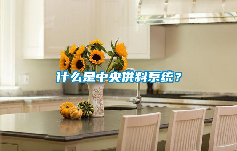 什么是中央供料系統？