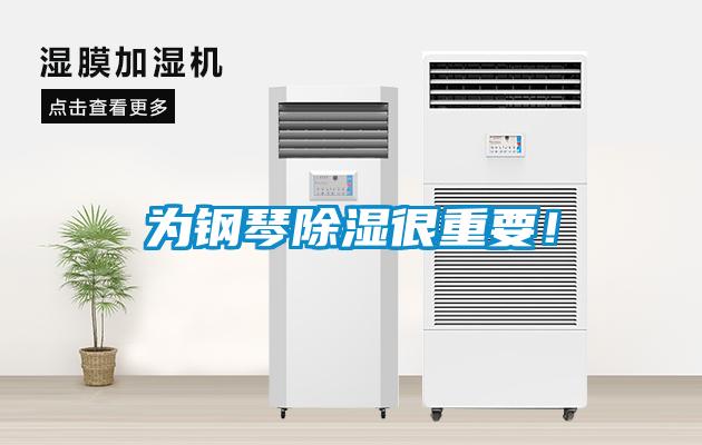 為鋼琴除濕很重要！