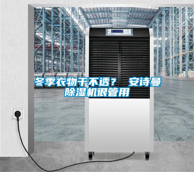 冬季衣物干不透？ 安詩曼除濕機很管用