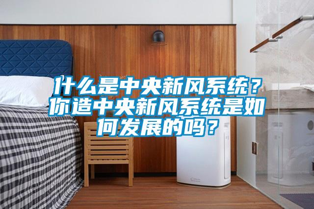 什么是中央新風系統？你造中央新風系統是如何發展的嗎？
