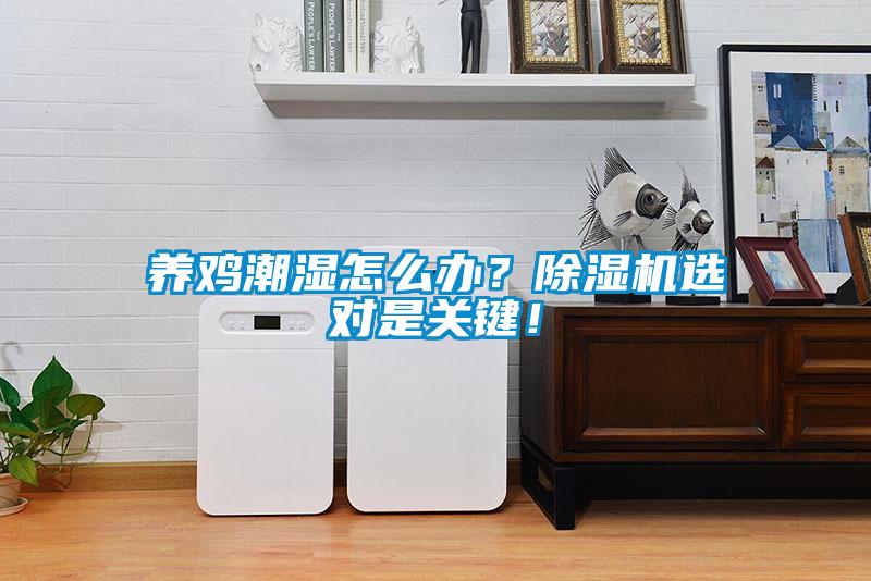 養雞潮濕怎么辦？除濕機選對是關鍵！