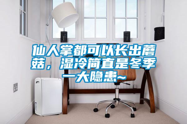 仙人掌都可以長出蘑菇，濕冷簡直是冬季一大隱患~