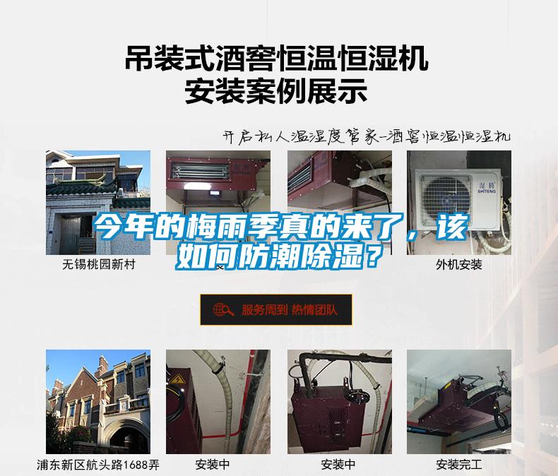 今年的梅雨季真的來了，該如何防潮除濕？