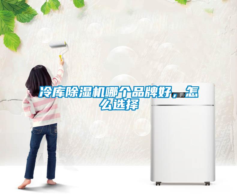 冷庫除濕機哪個品牌好，怎么選擇