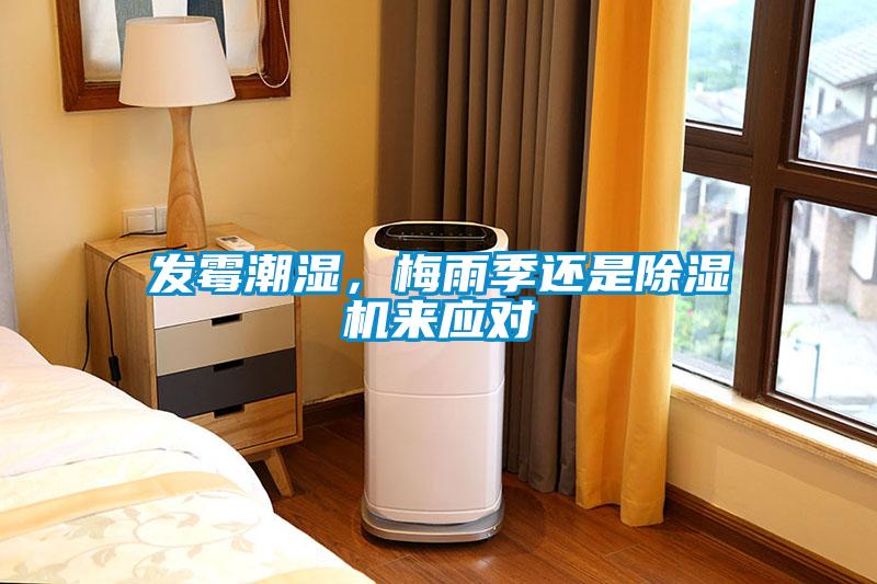 發霉潮濕，梅雨季還是除濕機來應對