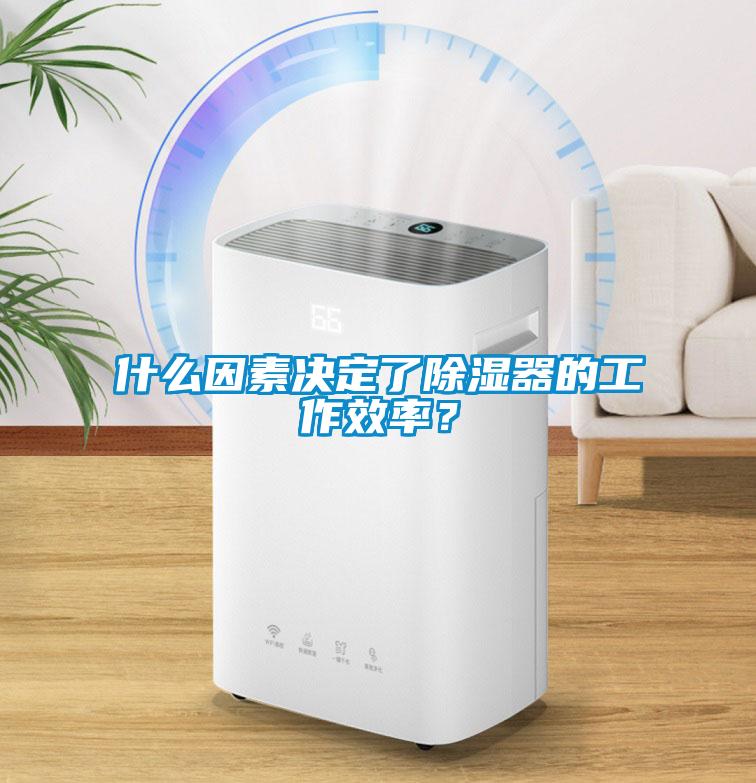 什么因素決定了除濕器的工作效率？