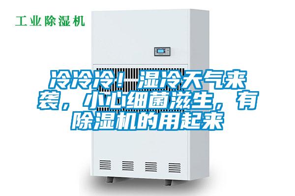冷冷冷！濕冷天氣來襲，小心細菌滋生，有除濕機的用起來