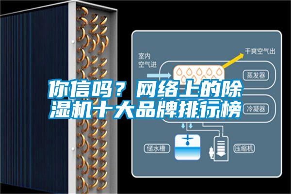 你信嗎？網絡上的除濕機十大品牌排行榜