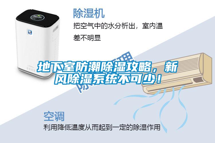 地下室防潮除濕攻略，新風除濕系統不可少！