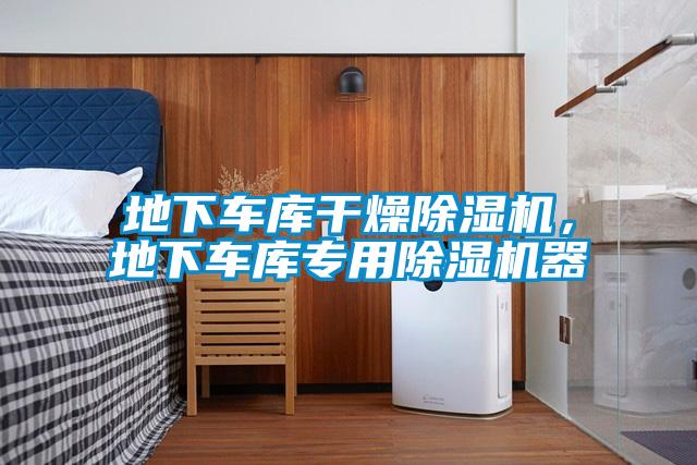 地下車庫干燥除濕機，地下車庫專用除濕機器