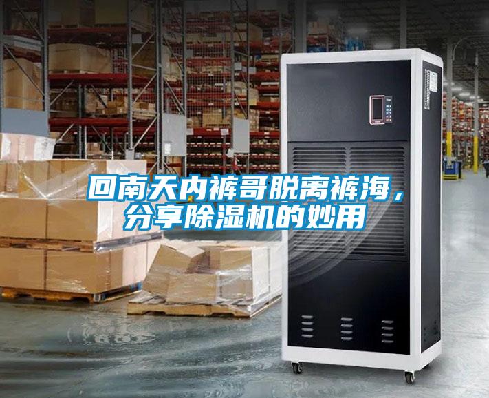 回南天內褲哥脫離褲海，分享除濕機的妙用